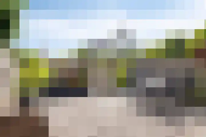 Reiger 19 Harmelen thumbnail 39