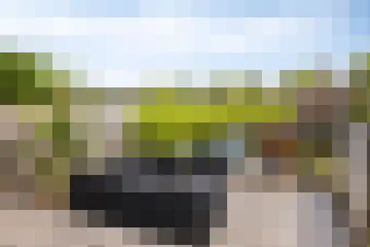 Reiger 19 Harmelen thumbnail 40