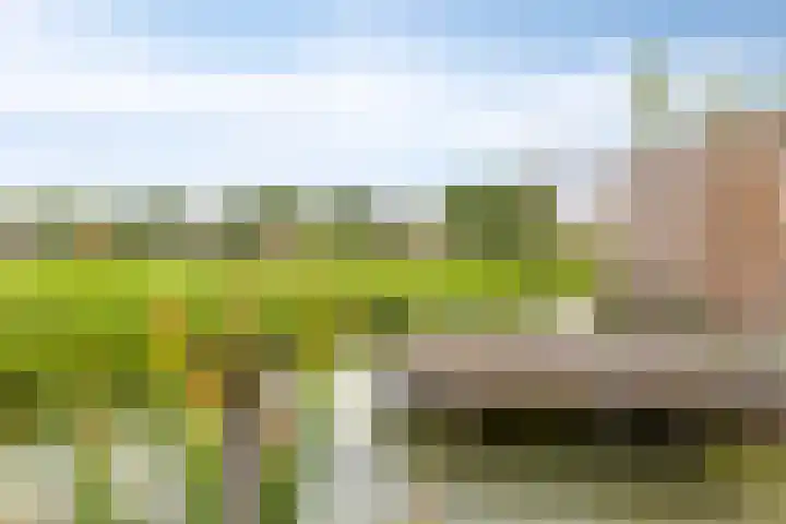 Reiger 19 Harmelen thumbnail 41