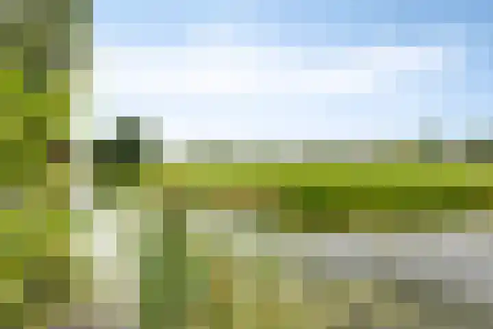 Reiger 19 Harmelen thumbnail 42