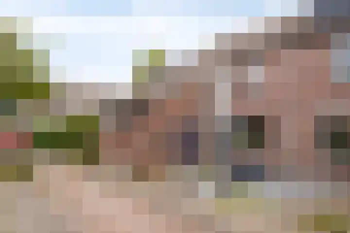 Reiger 19 Harmelen thumbnail 43