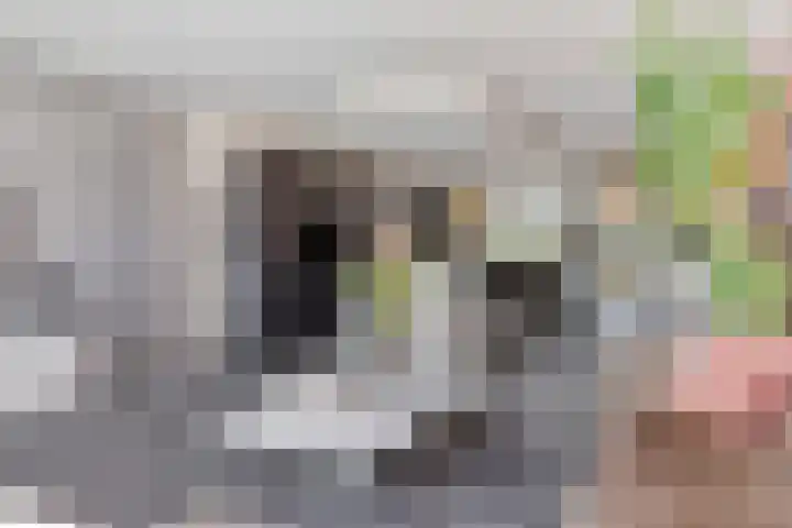 Reiger 19 Harmelen thumbnail 8