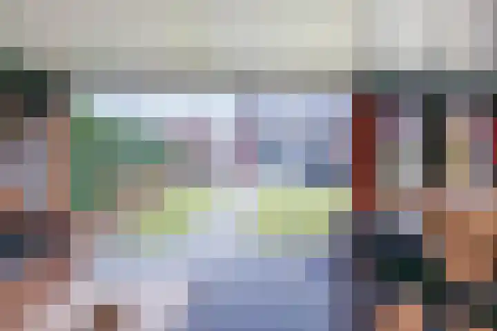 Reiger 2 's-Gravenzande thumbnail 13