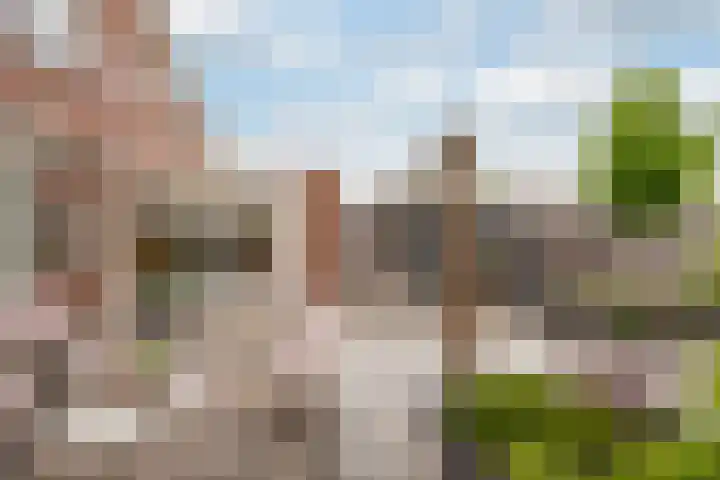Reiger 2 's-Gravenzande thumbnail 15