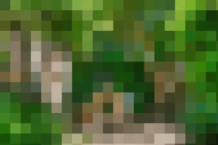 Reiger 2 's-Gravenzande thumbnail 19