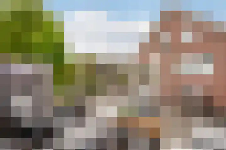 Reiger 2 's-Gravenzande thumbnail 20