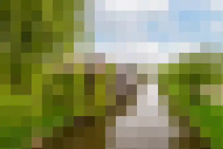 Reiger 2 's-Gravenzande thumbnail 48