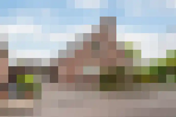 Reiger 2 's-Gravenzande thumbnail 50