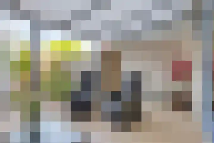 Reiger 20 Bedum thumbnail 22
