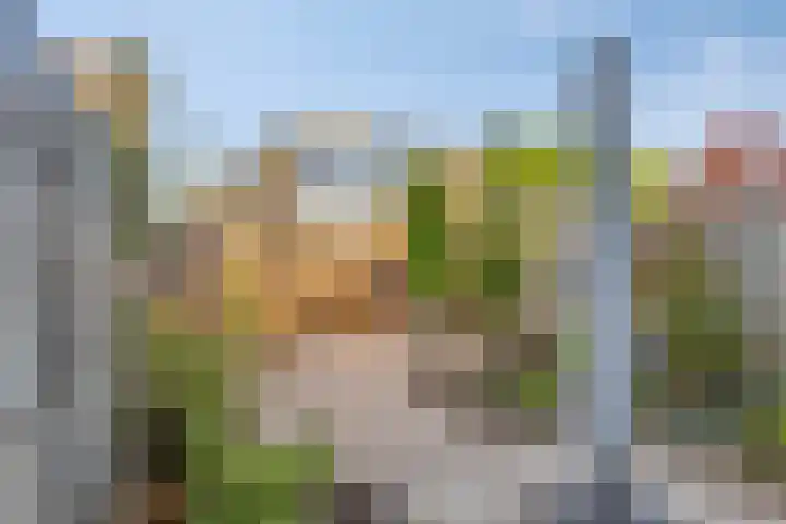 Reiger 20 Bedum thumbnail 24