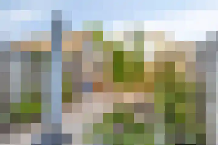 Reiger 20 Bedum thumbnail 27