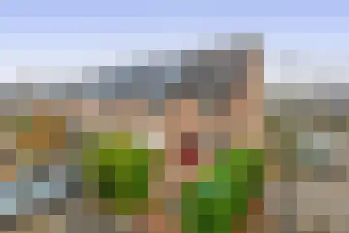 Reiger 26 Sommelsdijk thumbnail 5