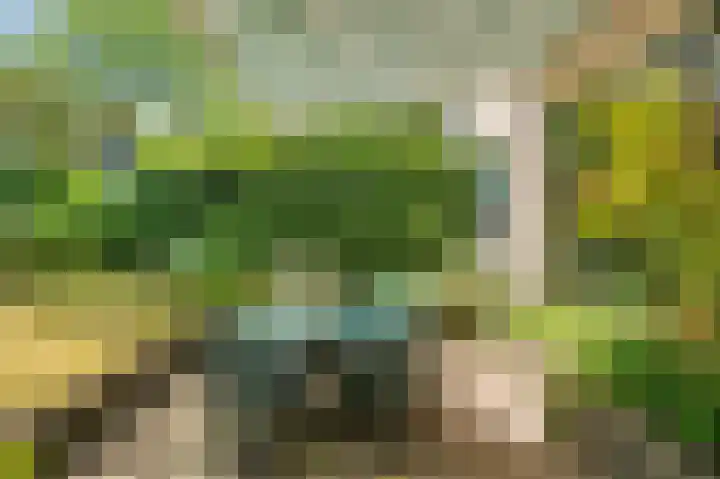 Reiger 3 Blaricum thumbnail 26