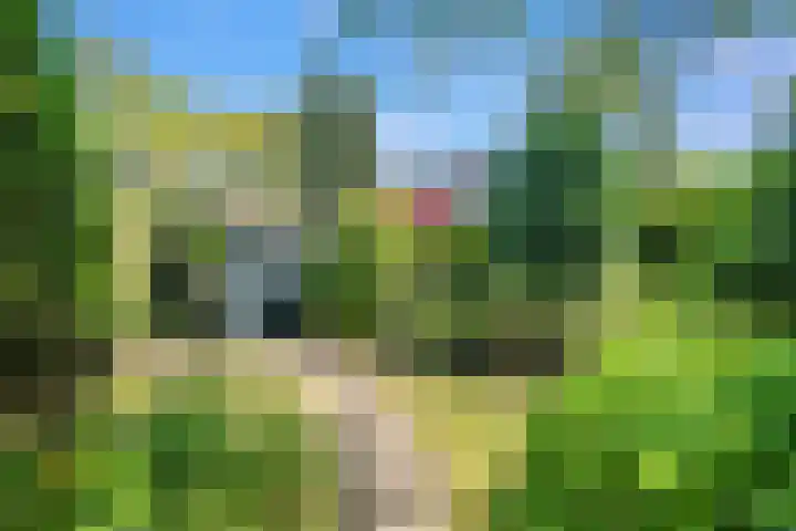 Reiger 3 Blaricum thumbnail 29
