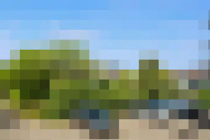 Reiger 3 Blaricum thumbnail 31