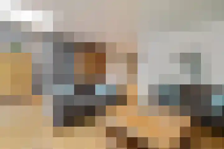 Reiger 4 Raalte thumbnail 10