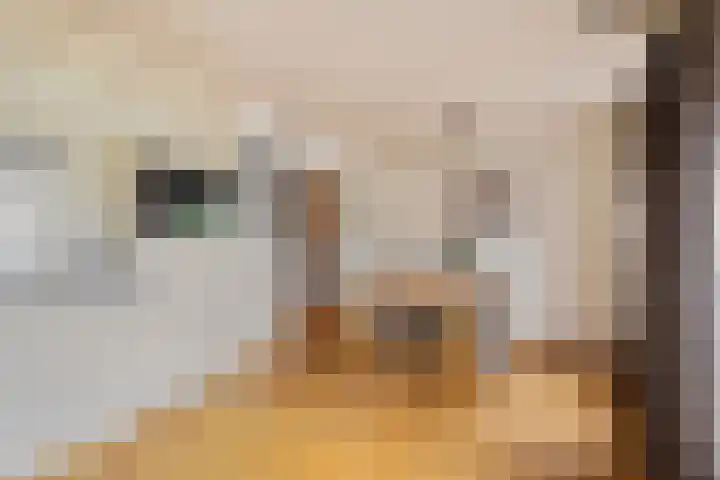 Reiger 4 Raalte thumbnail 13