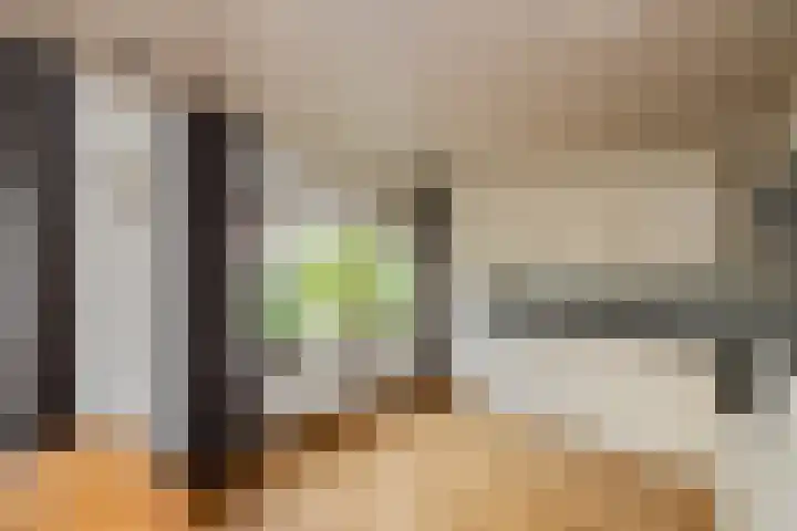 Reiger 4 Raalte thumbnail 15