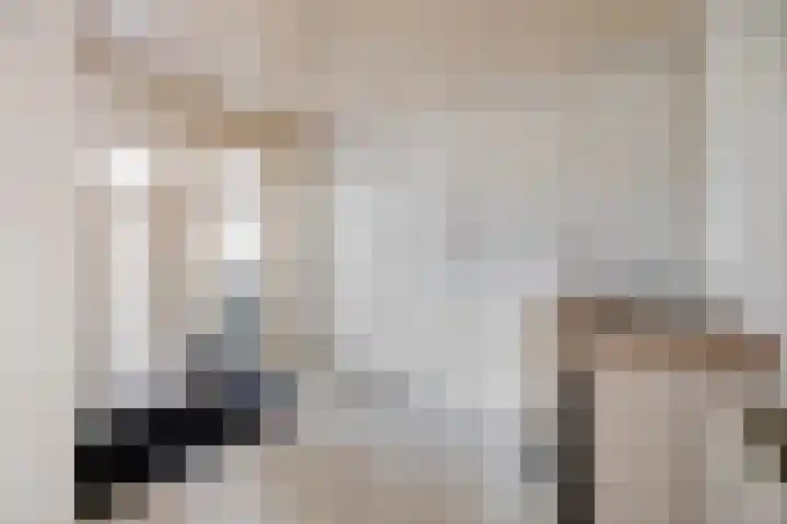 Reiger 4 Raalte thumbnail 16