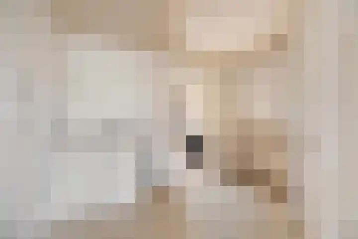 Reiger 4 Raalte thumbnail 17