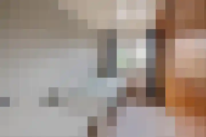 Reiger 4 Raalte thumbnail 25