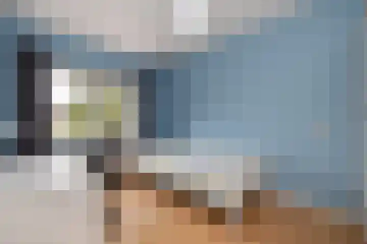 Reiger 4 Raalte thumbnail 26