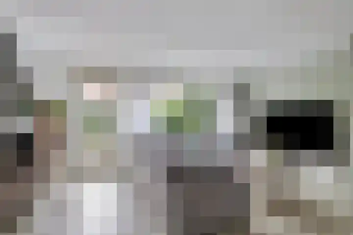 Reiger 4 Raalte thumbnail 27
