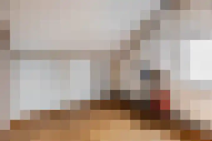 Reiger 4 Raalte thumbnail 31