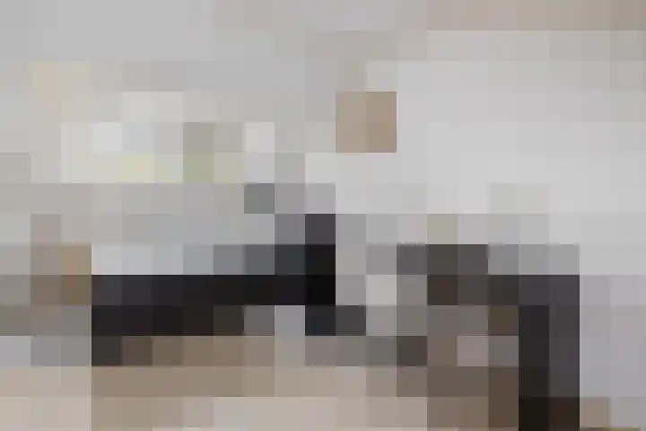 Reiger 4 Raalte thumbnail 32