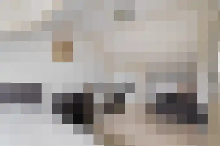 Reiger 4 Raalte thumbnail 33