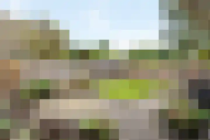 Reiger 4 Raalte thumbnail 34