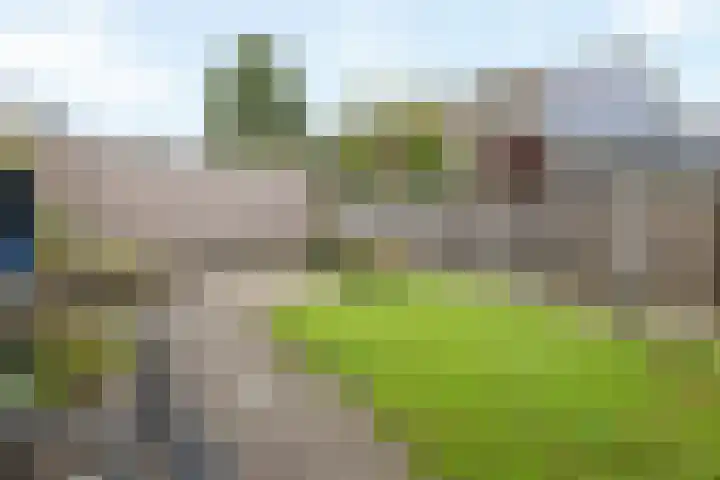 Reiger 4 Raalte thumbnail 35