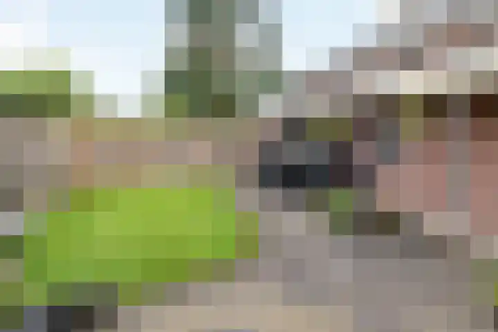 Reiger 4 Raalte thumbnail 36