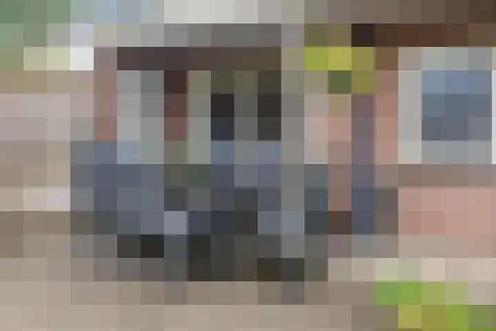 Reiger 4 Raalte thumbnail 38