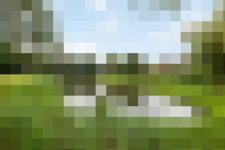 Reiger 4 Raalte thumbnail 39