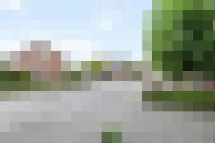 Reiger 4 Raalte thumbnail 4