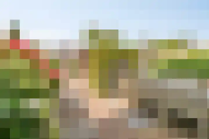 Reiger 4 Raalte thumbnail 40
