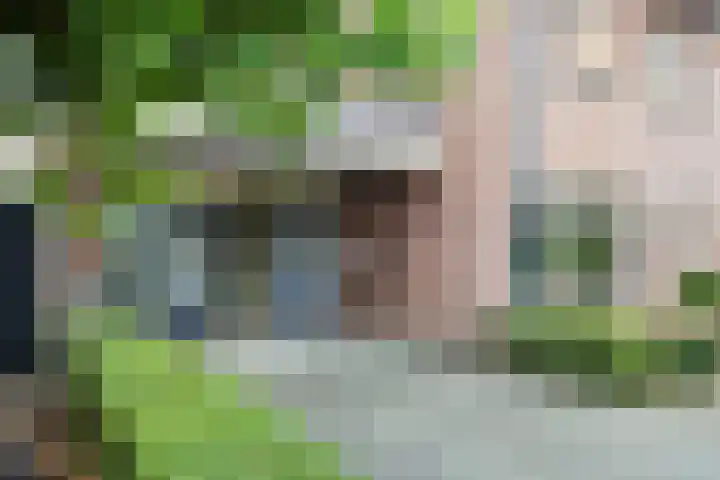 Reiger 4 Raalte thumbnail 5
