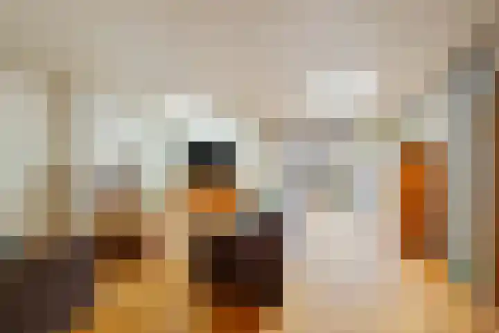 Reiger 4 Raalte thumbnail 6