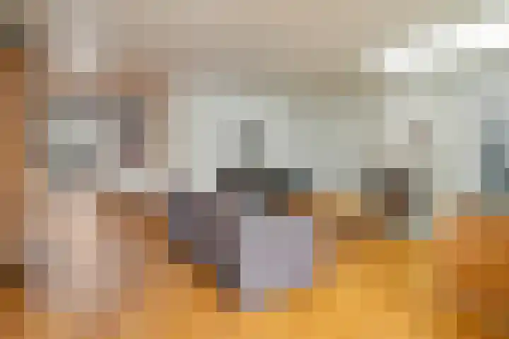 Reiger 4 Raalte thumbnail 9
