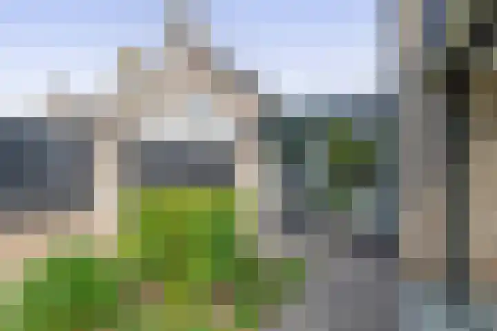 Reiger 43 Sprang-Capelle thumbnail 29