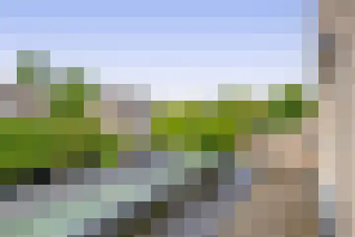 Reiger 43 Sprang-Capelle thumbnail 38