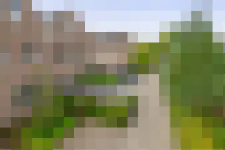 Reiger 43 Sprang-Capelle thumbnail 4