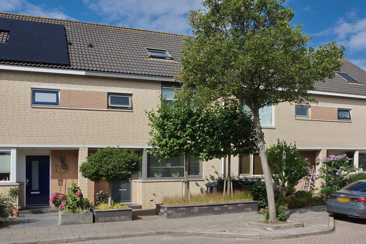 Reiger 59 in 's-Gravenzande foto