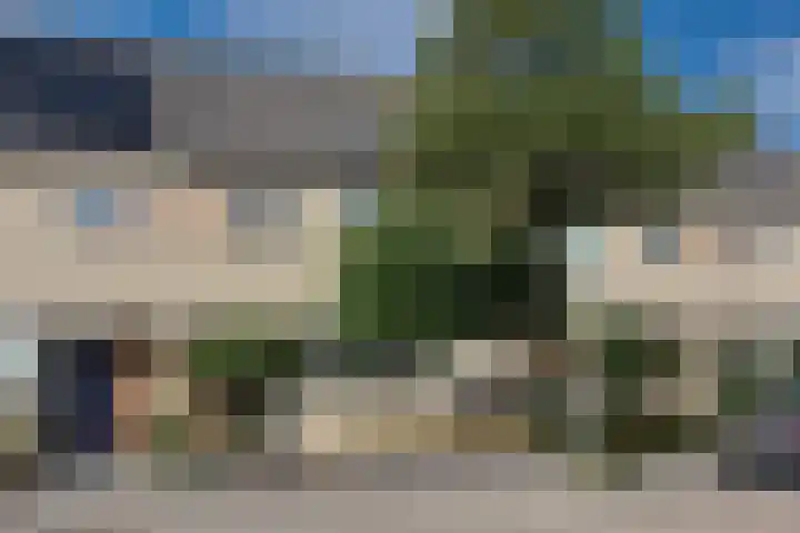 Reiger 59 's-Gravenzande thumbnail 35
