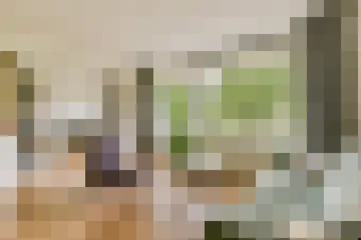 Reiger 96 Raalte thumbnail 10