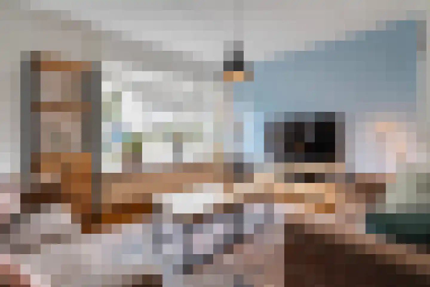 Reiger 96 Raalte thumbnail 12