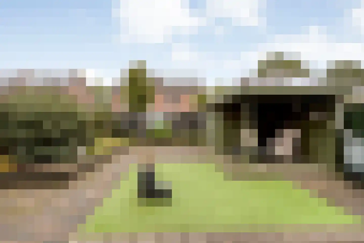 Reiger 96 Raalte foto 2