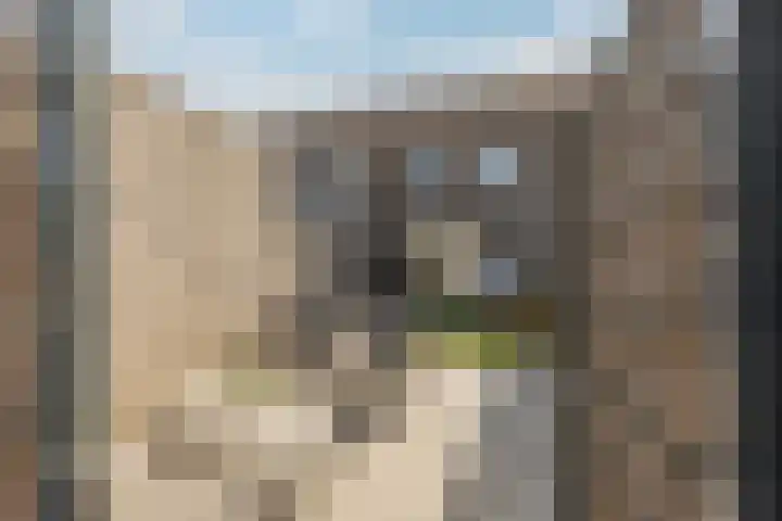 Reiger 96 Raalte thumbnail 20