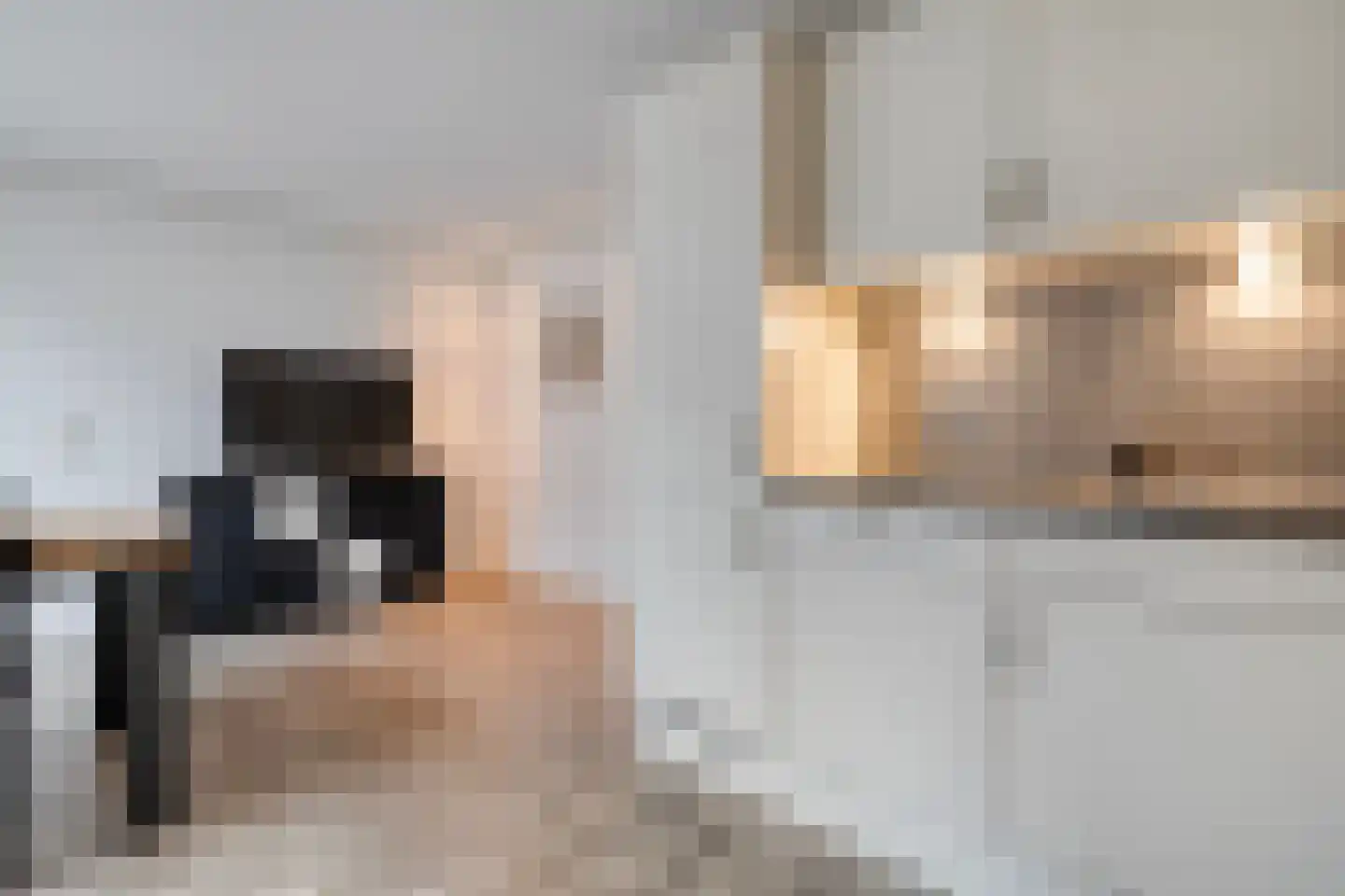 Reiger 96 Raalte thumbnail 21